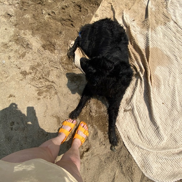 Meet your Posher, Bella - Picture 5 of 5